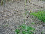 C`WN2010.2.04.JPG