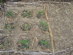 R[^X2010.6.9.JPG