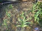 jjN2010.4.21.JPG
