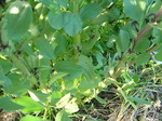 2010.4.21-2.JPG