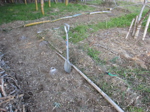 スコップ2013.2.21.jpg