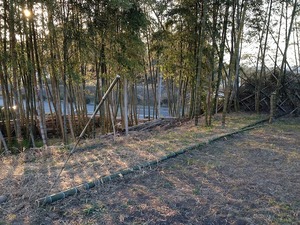 タケノコ栽培スペース2018.3.4.jpg
