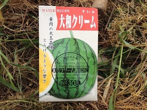 ^l2017.4.24.jpg