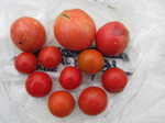 g}gn2011.8.23.jpg