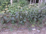 iX2011.8.13.jpg