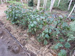iX2011.9.17.jpg