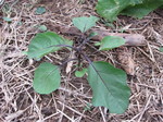 iX2011.7.21.jpg