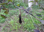 iX2011.11.14.jpg