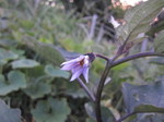 iX2011.8.3.jpg