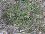 lQ2012.1.13.jpg