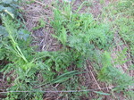 lQ2012.7.2.jpg