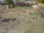 ͔|Xw゚[X2011.2.12.JPG