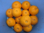 甘夏収穫2012.3.20.jpg