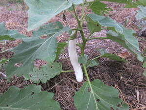 iX2012.9.13.jpg