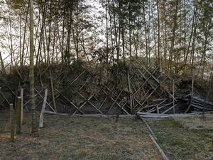 竹フェンス2018.3.4.jpg