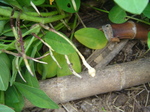 Ԑ2010.9.20.JPG
