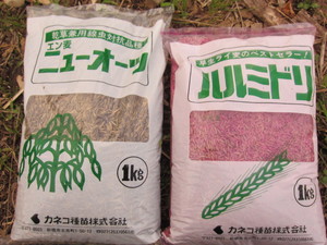 麦種2012.11.20.jpg