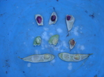 n2010.12.17.JPG