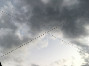 IMG_8231.JPG