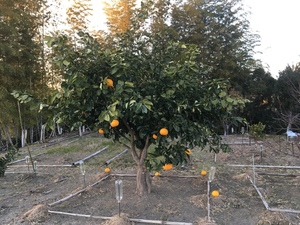 IMG_8555.JPG
